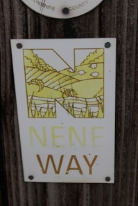Love the Nene Way
