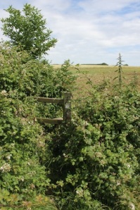 And there's our stile to exit