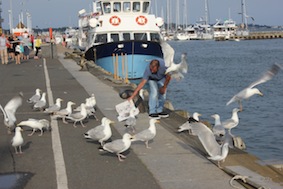 Probably the worst example as to why we're moaning about seagulls attacking us...